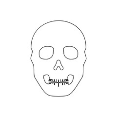 human skull icon. Element of Human parts for mobile concept and web apps icon. Outline, thin line icon for website design and development, app development