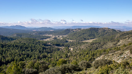 Fototapeta na wymiar Parque Natural de la Sierra de Mariola, Alicante