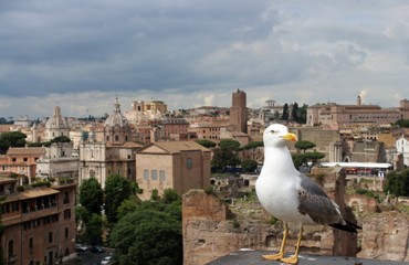 Roma