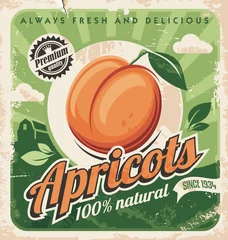 Aprikosen-Vintage-Poster-Design. Organische und natürliche Bauernhoffrüchte Retro-Schild. Saftige Aprikose auf grünem Hintergrund. Vektorbild. © lukeruk
