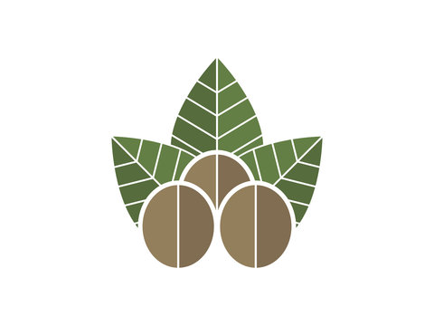 Walnut and leaves vector icon illustration