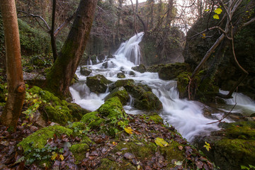Waterfall in forest