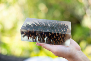 Hand holding casting epoxy resin Stabilizing pine cone white abstract art blur background