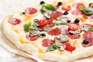 Homemade pizza with salami, mushrooms, tomatoes, mozzarella and basil