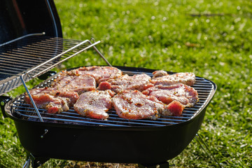 Top view of fresh meat and vegetable on grill placed on grass.