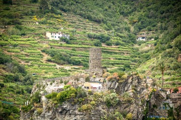 The old fortress and tower (Vernazza Castello Doria) at the coastal hill of town Vernazza....