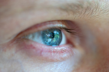 Obraz premium Closeup eye caucasian man. Portrait young guy face background, close up eyes