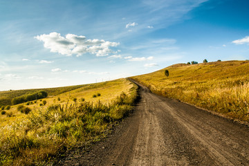 Naklejka premium road over the autumn field with blue sky