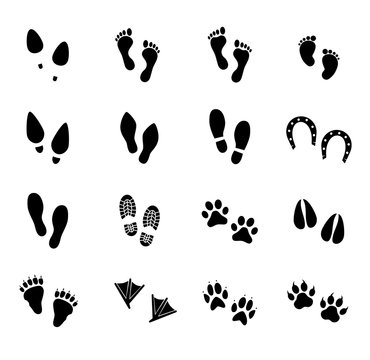 Footprint vector icon set. Footprints of human and animals. 