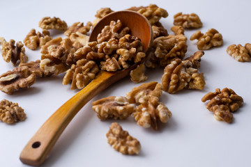 Obraz premium nut brain 11