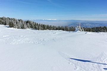 Winter wiew of Vitosha Mountain, Sofia City Region, Bulgaria
