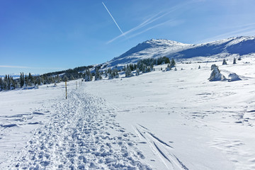 Winter wiew of Vitosha Mountain, Sofia City Region, Bulgaria