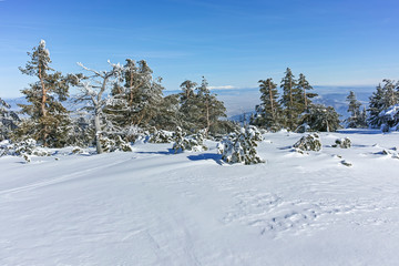 Winter wiew of Vitosha Mountain, Sofia City Region, Bulgaria