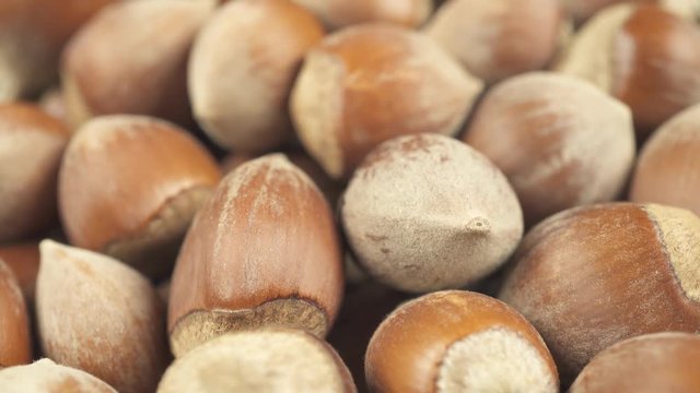 Slow motion hazelnut close up