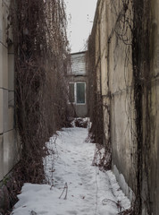 creepy narrow passage between the walls