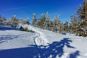 Fototapeta na wymiar Winter wiew of Vitosha Mountain, Sofia City Region, Bulgaria