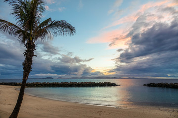 Beach and palm tree in sunset. Stormy dark clouds in the background.