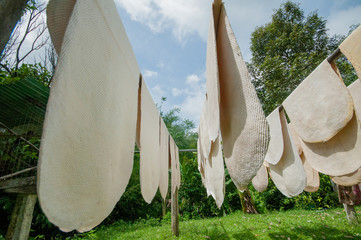 rubber in Thailand © kentraveller79