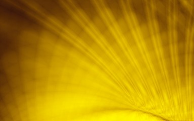 Yellow texture graphic light art background