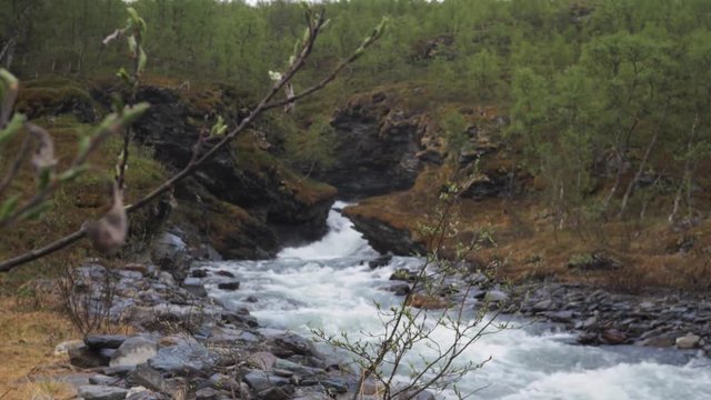 Wild Water Cooming Out Of The Forest