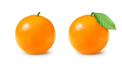 Isolated oranges. Orange orange on a white background.
