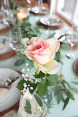 Beautiful rose on festive laid table