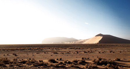 Desert, Namibia Africa