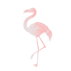 Tropical birds set of flamingo. Exotic rose bird illustrations, jungle tree, trendy art. For print or cover