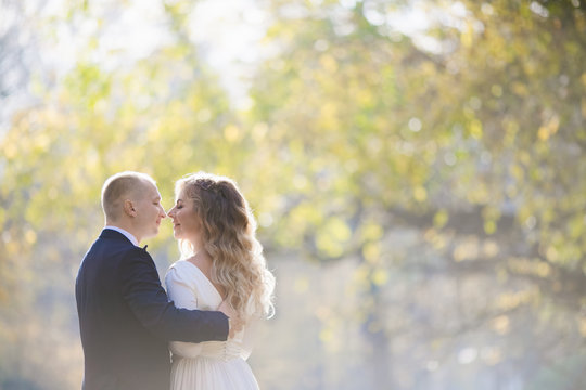Bride and groom hug each other tender standing in the rays of sun in the autumn park covered with fallen leaves