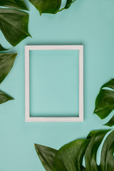 Creative flat lay with tropical plant and white frame for your text