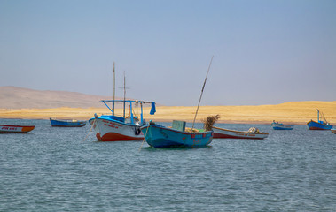 Panoramic view of Lagunillas Beach in the National Reserve of Paracas Park, Peru