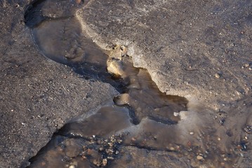 brown stream of water of a dirty stream among gray snow and ice