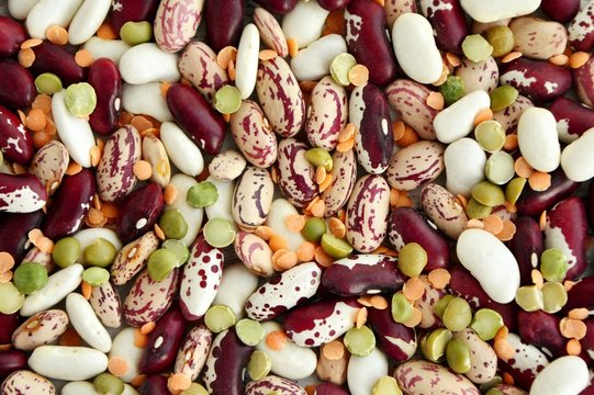 A mixture of colorful beans and lentils close-up