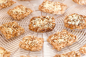 Vegan cookies are prepared on the dehydrator grid