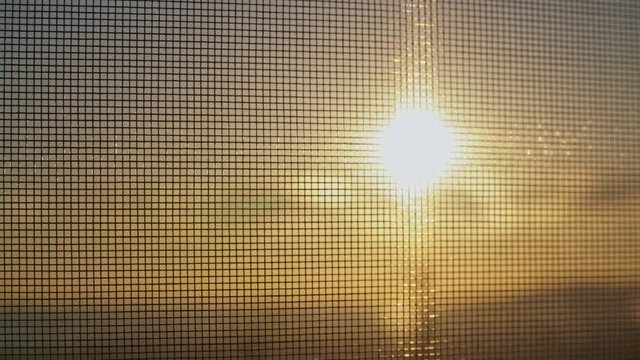 The sun behind the mosquito net closeup