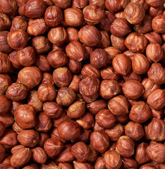 Hazelnut   background   close-up.Top view