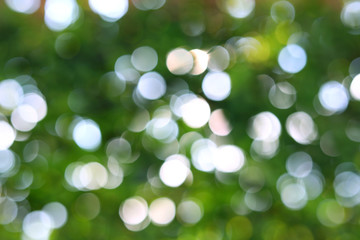 abstract blur beautiful green light bokeh nature summer background