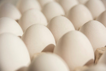 Many white eggs in egg carton