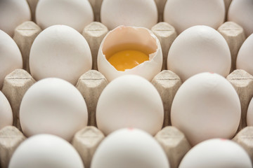 Many eggs in egg carton, one broken egg shell with visible egg yolk, vitellus.