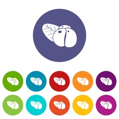 Ephedra icons color set vector for any web design on white background