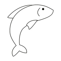 dolphin vector illustration