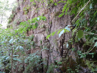 Природа Кавказа