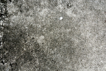 Background and texture of old cement floor.