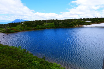 Obraz na płótnie Canvas 十和田八幡平国立公園。ブルーに輝く初夏のガマ沼。