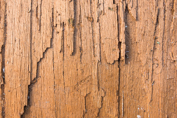 Brown wood texture cracked, dry. Abstract background, empty template.