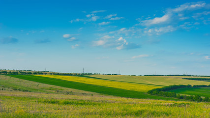 Fototapeta na wymiar Landscape image of green and yellow meadows. Clear blue sky in summer/ spring.