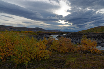 herbstliche Landschaft entlang der F550, Island