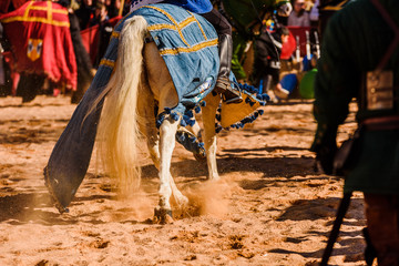 Detail of the legs of galloping horses adorned as medieval mounts mounted by knights during a festival.