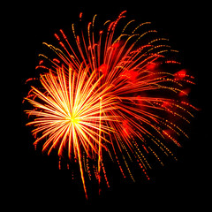 Colorful firework on black background.