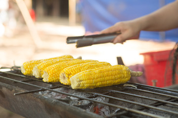 Grilled corn, vegetables grilled corn on the hot stove
